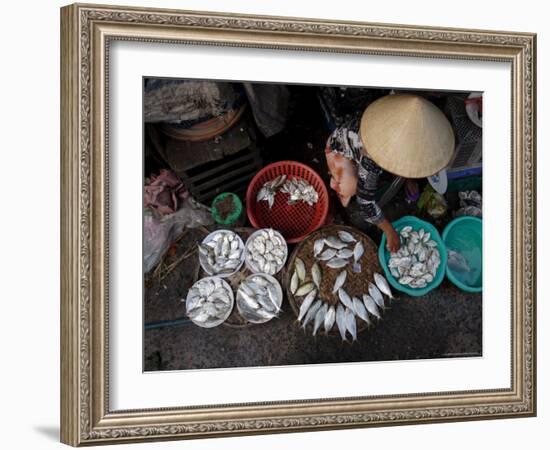 Fresh Fish at the City Market, Da Nang, Vietnam, Indochina, Southeast Asia-Andrew Mcconnell-Framed Photographic Print