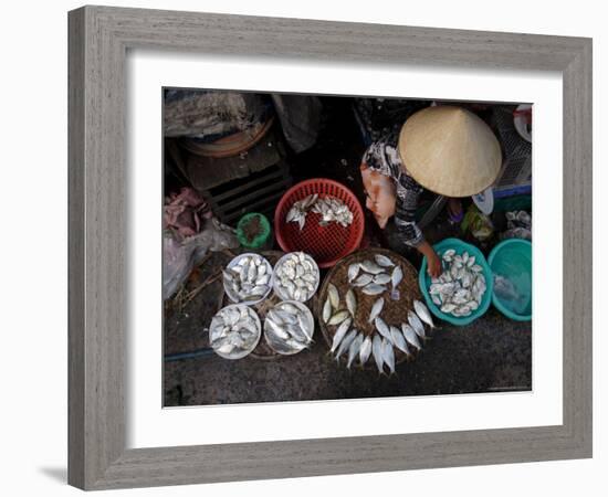 Fresh Fish at the City Market, Da Nang, Vietnam, Indochina, Southeast Asia-Andrew Mcconnell-Framed Photographic Print