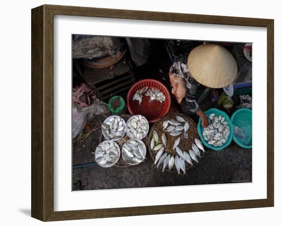 Fresh Fish at the City Market, Da Nang, Vietnam, Indochina, Southeast Asia-Andrew Mcconnell-Framed Photographic Print