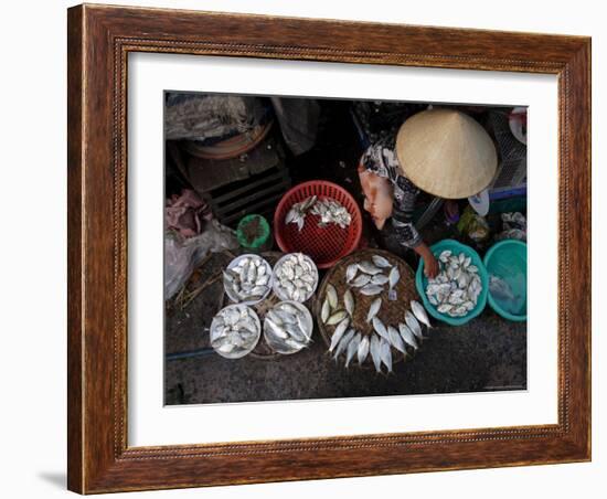 Fresh Fish at the City Market, Da Nang, Vietnam, Indochina, Southeast Asia-Andrew Mcconnell-Framed Photographic Print