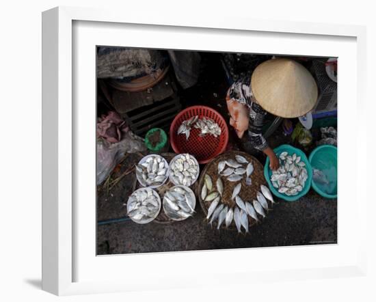 Fresh Fish at the City Market, Da Nang, Vietnam, Indochina, Southeast Asia-Andrew Mcconnell-Framed Photographic Print