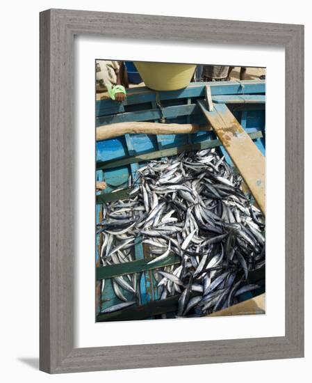 Fresh Fish Just Caught, Tarrafal, Santiago, Cape Verde Islands, Africa-R H Productions-Framed Photographic Print