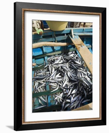 Fresh Fish Just Caught, Tarrafal, Santiago, Cape Verde Islands, Africa-R H Productions-Framed Photographic Print