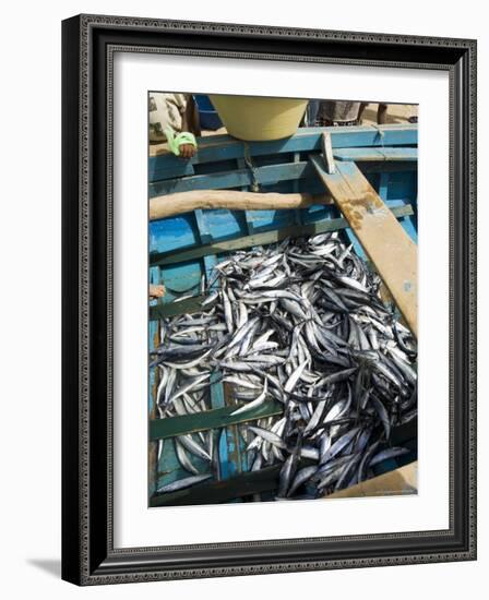 Fresh Fish Just Caught, Tarrafal, Santiago, Cape Verde Islands, Africa-R H Productions-Framed Photographic Print