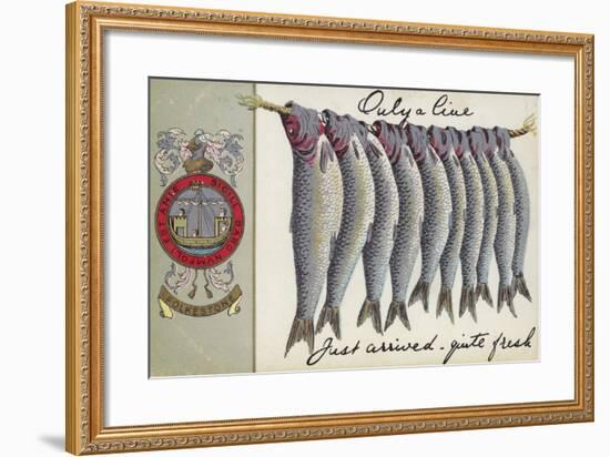 Fresh Fish of Folkstone-null-Framed Giclee Print