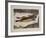 Fresh Fish-Renzo Vespignani-Framed Limited Edition