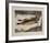 Fresh Fish-Renzo Vespignani-Framed Limited Edition