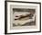 Fresh Fish-Renzo Vespignani-Framed Limited Edition