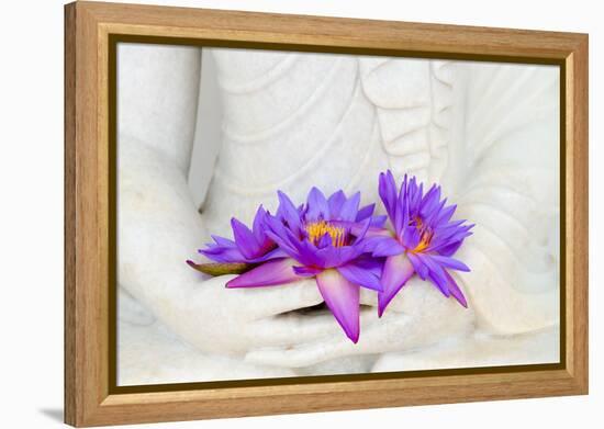 Fresh Flue Star Water Lily or Star Lotus Flowers in Buddha Image Hands-Iryna Rasko-Framed Premier Image Canvas