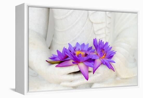 Fresh Flue Star Water Lily or Star Lotus Flowers in Buddha Image Hands-Iryna Rasko-Framed Premier Image Canvas