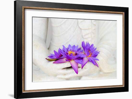 Fresh Flue Star Water Lily or Star Lotus Flowers in Buddha Image Hands-Iryna Rasko-Framed Photographic Print
