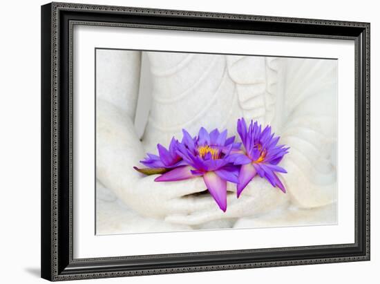 Fresh Flue Star Water Lily or Star Lotus Flowers in Buddha Image Hands-Iryna Rasko-Framed Photographic Print