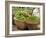 Fresh Fruit and Vegetable Market, Khon Kaen, Isan, Thailand-Gavriel Jecan-Framed Photographic Print