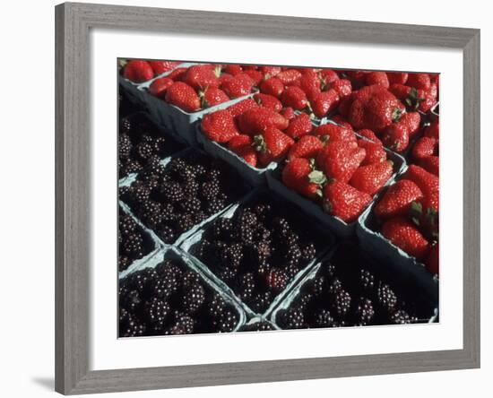 Fresh Fruit in Pike Place Market, Seattle, Washington, USA-Connie Ricca-Framed Photographic Print