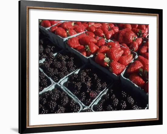 Fresh Fruit in Pike Place Market, Seattle, Washington, USA-Connie Ricca-Framed Photographic Print