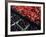 Fresh Fruit in Pike Place Market, Seattle, Washington, USA-Connie Ricca-Framed Photographic Print