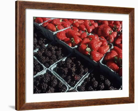 Fresh Fruit in Pike Place Market, Seattle, Washington, USA-Connie Ricca-Framed Photographic Print