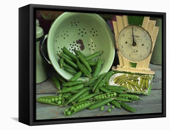 Fresh Garden Peas in an Old Colander with Old Salter Scales and Seed Packet-Michelle Garrett-Framed Premier Image Canvas