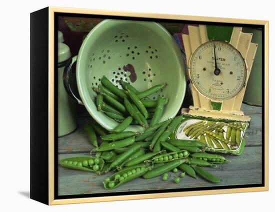 Fresh Garden Peas in an Old Colander with Old Salter Scales and Seed Packet-Michelle Garrett-Framed Premier Image Canvas