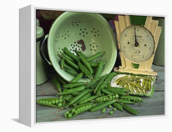 Fresh Garden Peas in an Old Colander with Old Salter Scales and Seed Packet-Michelle Garrett-Framed Premier Image Canvas