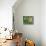 Fresh Garden Peas in an Old Colander with Old Salter Scales and Seed Packet-Michelle Garrett-Photographic Print displayed on a wall