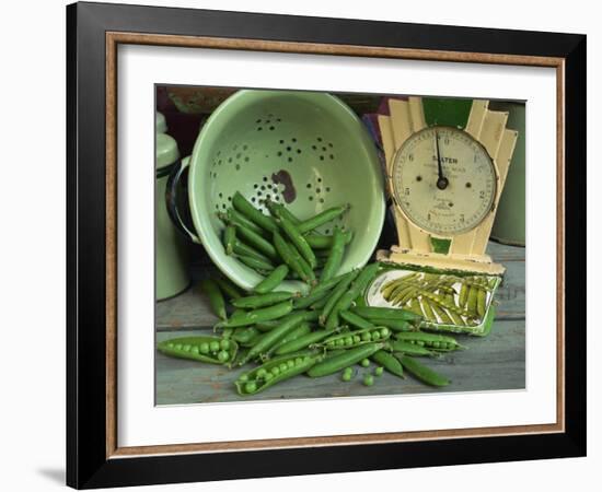 Fresh Garden Peas in an Old Colander with Old Salter Scales and Seed Packet-Michelle Garrett-Framed Photographic Print