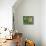 Fresh Garden Peas in an Old Colander with Old Salter Scales and Seed Packet-Michelle Garrett-Mounted Photographic Print displayed on a wall