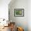 Fresh Garden Peas in an Old Colander with Old Salter Scales and Seed Packet-Michelle Garrett-Framed Photographic Print displayed on a wall