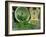 Fresh Garden Peas in an Old Colander with Old Salter Scales and Seed Packet-Michelle Garrett-Framed Photographic Print