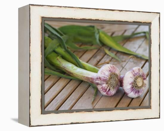 Fresh Garlic on Teak Table, Clos Des Iles, Le Brusc, Var, Cote d'Azur, France-Per Karlsson-Framed Premier Image Canvas