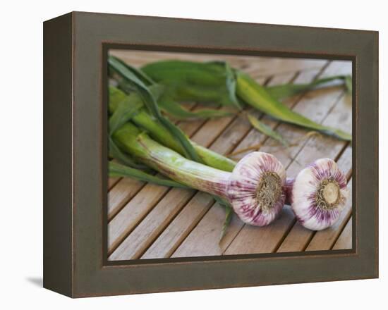 Fresh Garlic on Teak Table, Clos Des Iles, Le Brusc, Var, Cote d'Azur, France-Per Karlsson-Framed Premier Image Canvas
