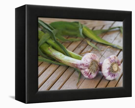 Fresh Garlic on Teak Table, Clos Des Iles, Le Brusc, Var, Cote d'Azur, France-Per Karlsson-Framed Premier Image Canvas