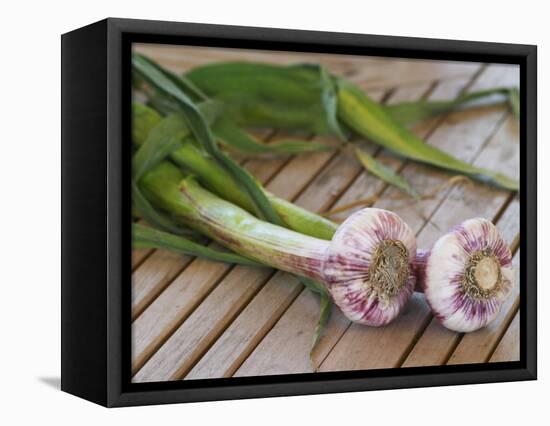 Fresh Garlic on Teak Table, Clos Des Iles, Le Brusc, Var, Cote d'Azur, France-Per Karlsson-Framed Premier Image Canvas