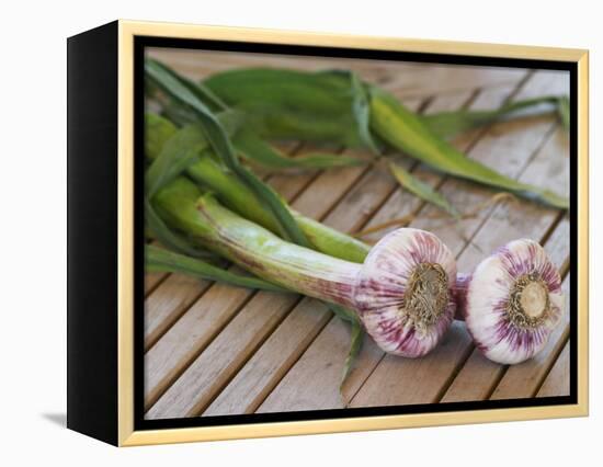 Fresh Garlic on Teak Table, Clos Des Iles, Le Brusc, Var, Cote d'Azur, France-Per Karlsson-Framed Premier Image Canvas