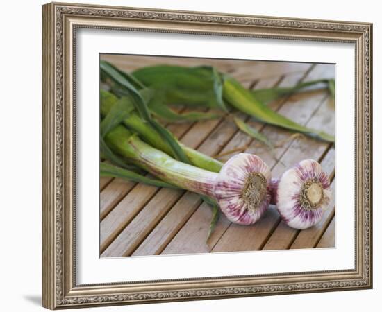 Fresh Garlic on Teak Table, Clos Des Iles, Le Brusc, Var, Cote d'Azur, France-Per Karlsson-Framed Photographic Print