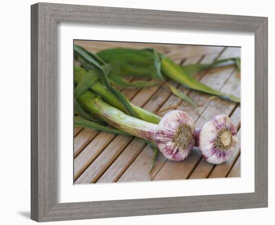 Fresh Garlic on Teak Table, Clos Des Iles, Le Brusc, Var, Cote d'Azur, France-Per Karlsson-Framed Photographic Print