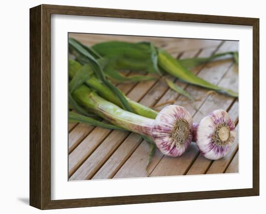 Fresh Garlic on Teak Table, Clos Des Iles, Le Brusc, Var, Cote d'Azur, France-Per Karlsson-Framed Photographic Print