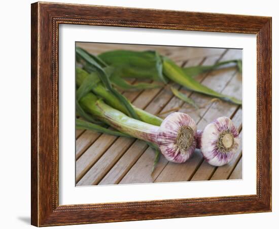 Fresh Garlic on Teak Table, Clos Des Iles, Le Brusc, Var, Cote d'Azur, France-Per Karlsson-Framed Photographic Print