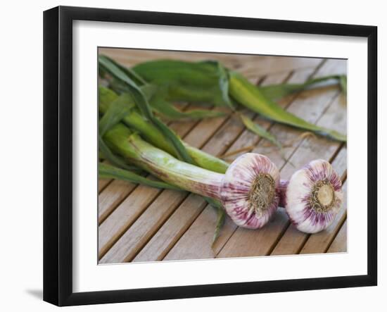 Fresh Garlic on Teak Table, Clos Des Iles, Le Brusc, Var, Cote d'Azur, France-Per Karlsson-Framed Photographic Print