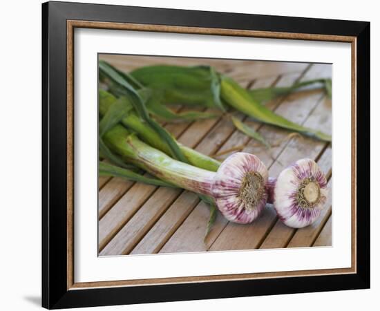 Fresh Garlic on Teak Table, Clos Des Iles, Le Brusc, Var, Cote d'Azur, France-Per Karlsson-Framed Photographic Print