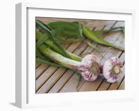 Fresh Garlic on Teak Table, Clos Des Iles, Le Brusc, Var, Cote d'Azur, France-Per Karlsson-Framed Photographic Print