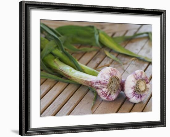 Fresh Garlic on Teak Table, Clos Des Iles, Le Brusc, Var, Cote d'Azur, France-Per Karlsson-Framed Photographic Print