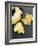Fresh Ginger Root in Slices and Grated-Winfried Heinze-Framed Photographic Print