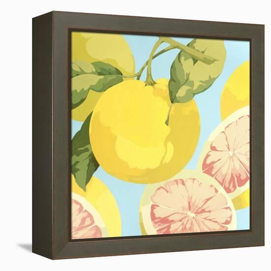 Fresh Grapefruits-Martha Negley-Framed Premier Image Canvas