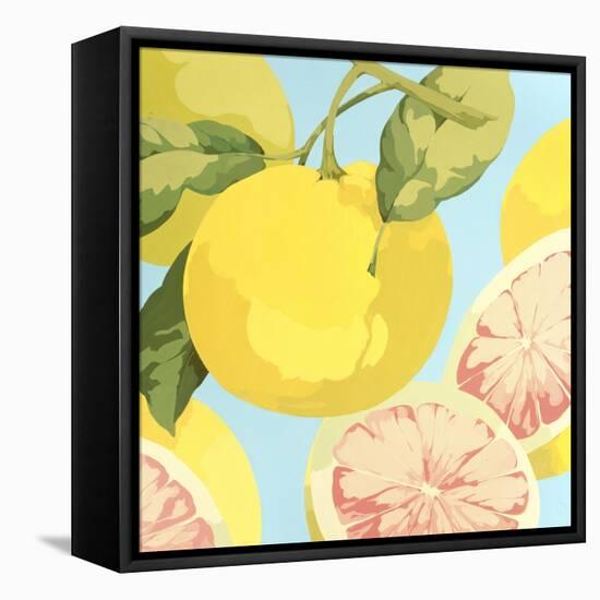 Fresh Grapefruits-Martha Negley-Framed Premier Image Canvas