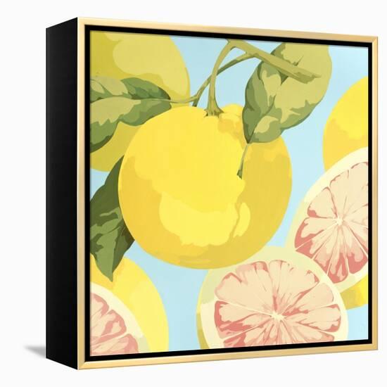 Fresh Grapefruits-Martha Negley-Framed Premier Image Canvas