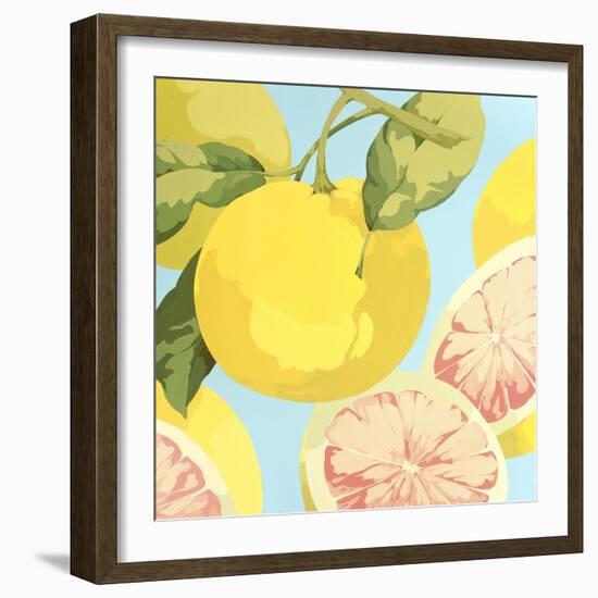 Fresh Grapefruits-Martha Negley-Framed Giclee Print