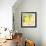 Fresh Grapefruits-Martha Negley-Framed Giclee Print displayed on a wall