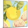 Fresh Grapefruits-Martha Negley-Mounted Giclee Print
