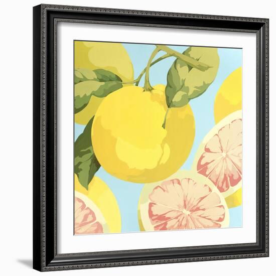 Fresh Grapefruits-Martha Negley-Framed Premium Giclee Print